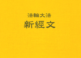 二零零九年大纽约国际法会讲法